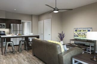 theone-annarbor-livingroom theone-annarbor-livingroom